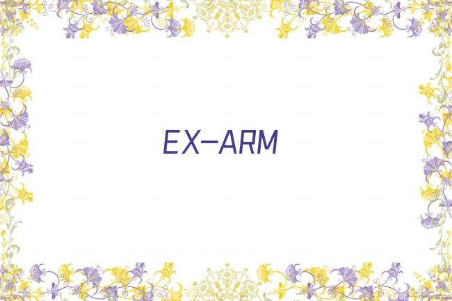 EX-ARM剧照