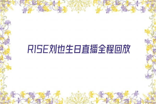 R1SE刘也生日直播全程回放剧照